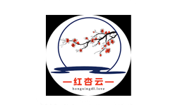 红杏云,极速专线中转机场